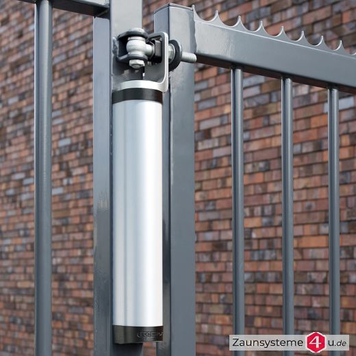 RHINO Türschließer von Locinox für Profitore