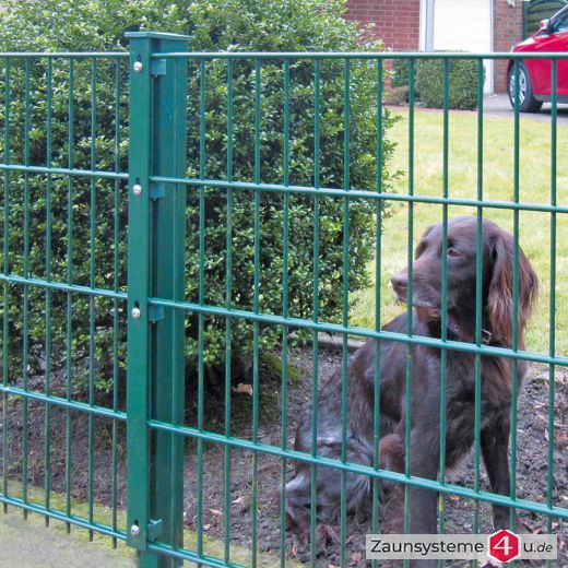 DS-Zaunpfahl 60X40 mm Schiene verzinkt + grün