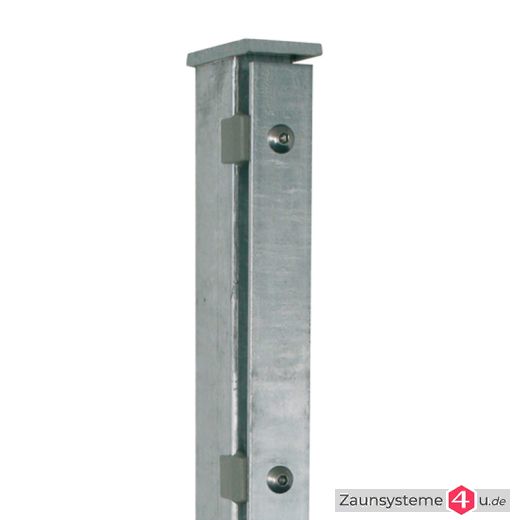 DS-Zaunpfahl 60x40 / 200 mm Schiene mit Bodenplatte + AK feuerverzinkt