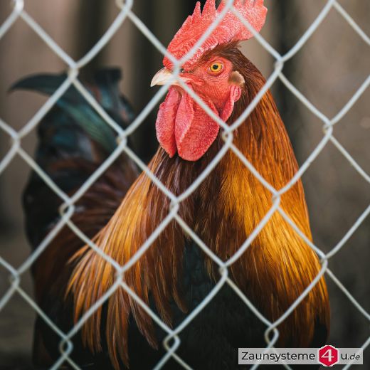 Zaunpfahl Ø 34 mm feuerverzinkt für Maschendraht