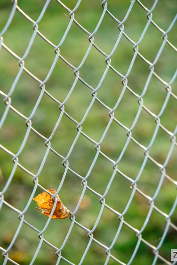 Zaunpfahl Ø 38 mm feuerverzinkt für Maschendraht