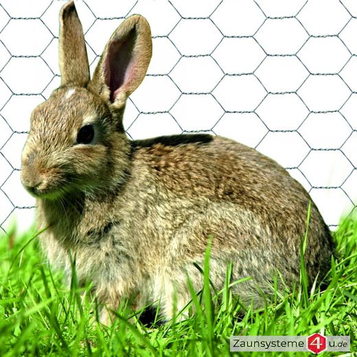 6-eck Geflecht 25 x 0,8 mm feuerverzinkt in verschiedenen Höhen und Längen