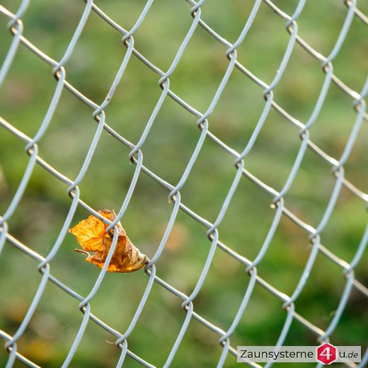 Maschandraht dickverzinkt 50 x 50 x 2,5 mm, 25 m Rollen in verschiedenen Höhen
