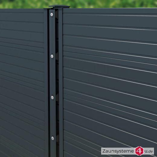 Paneeltür Glattblech anthrazit 1000 mm Breite in verschiedenen Höhen